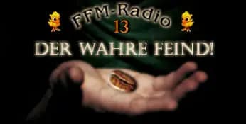 FFM-Radio Vol. 13 Logo
