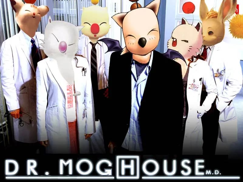 Dr. Moghouse Bild