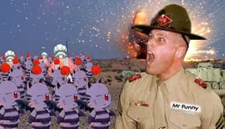 Drill Instructor Bild